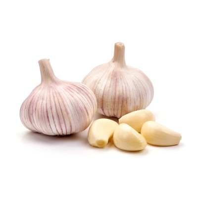 Чеснок крупный 1 кг - купить в Коптюге