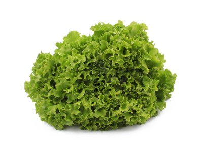 Салат айсберг 300 г - купить в Коптюге