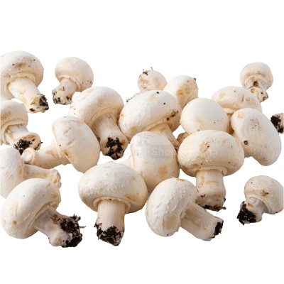 Шампиньоны свежие 500 г - купить в Коптюге